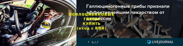 стаф Михайлов