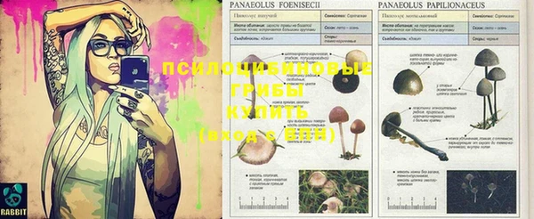 бошки Надым