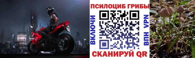 Псилоцибиновые грибы мицелий  закладка  Фролово 