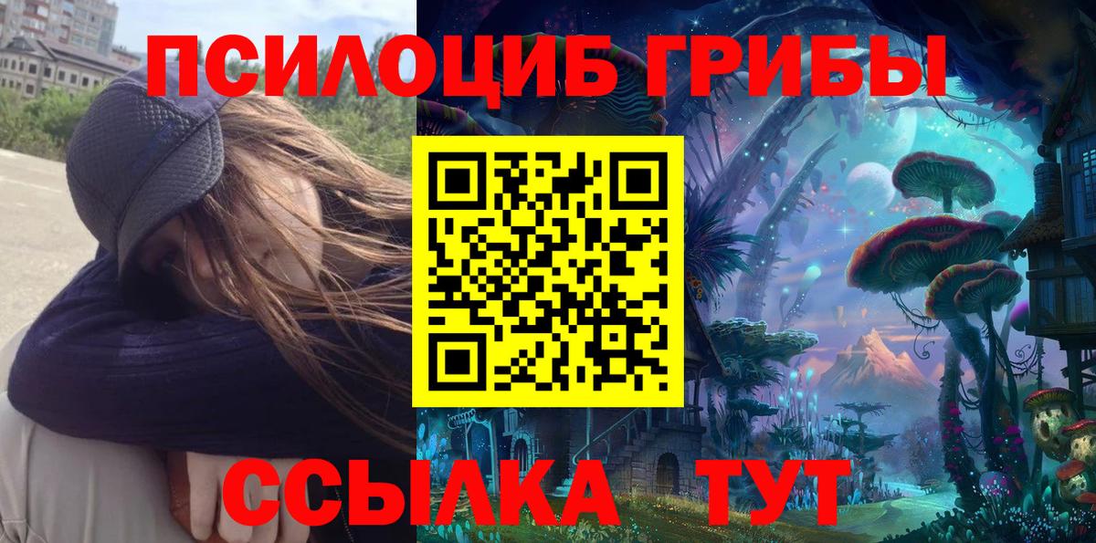 Фролово  Псилоцибиновые грибы Psilocybine cubensis  даркнет сайт  Вход с VPN 