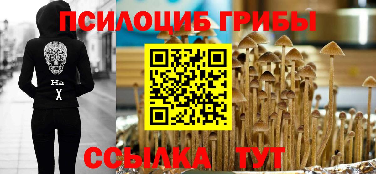 Псилоцибиновые грибы мухоморы  Фролово 